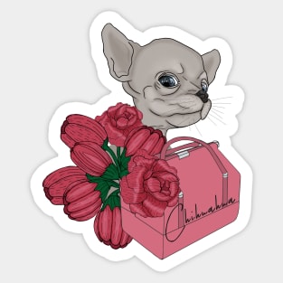 Chihuahua puppy Sticker